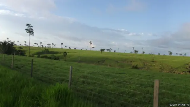 Fazenda Capatará. Foto: Fábio Pontes/ BBC Brasil