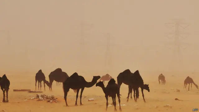 रेगिस्तान में रेत का तूफान