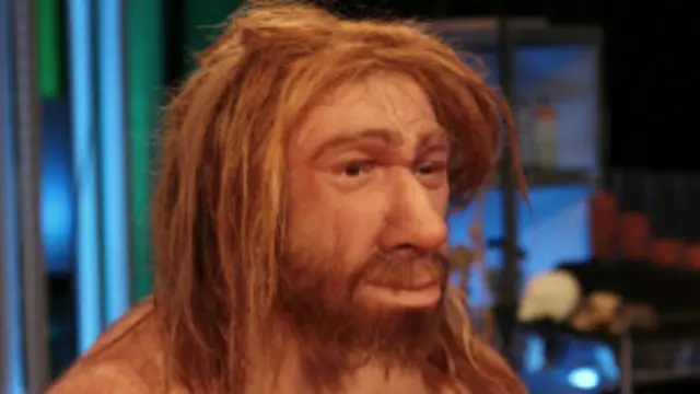 نی اینڈرتھال آج سے 30 ہزار سال قبل تک یورپ میں رہتے تھے، تاہم جدید انسانوں کے یورپ جانے کے کچھ ہی عرصے بعد ان کی نسل معدوم ہو گئی