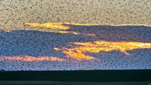 सूर्यास्त