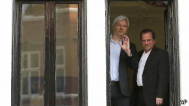 जूलियन असांज, विकीलीक्स