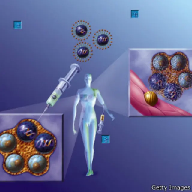 سلولهای ایمنی تقویت یا تربیت میشوند تا به تومور حمله و آن را نابود کنند