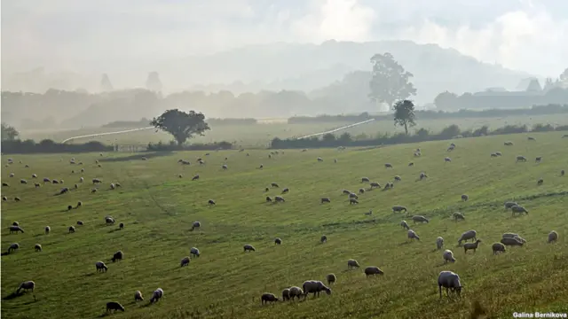 Фото: Галина Берникова, Бристоль