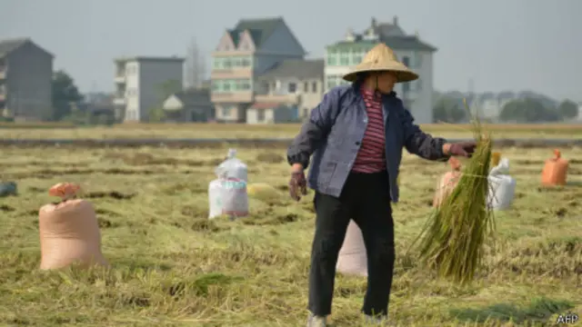 浙江农村(19/12/2013)