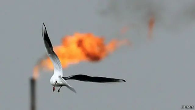 تاسیسات نفتی در جزیره لاوان ایران