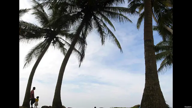 सूनामी वर्षगांठ