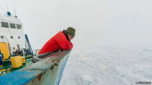 Kapal di lautan antartika