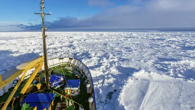 शोकलस्की