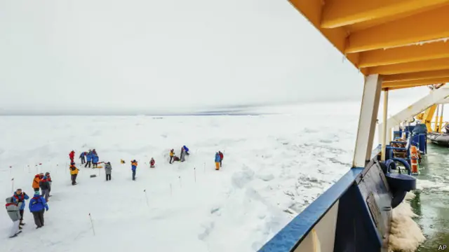 शोकलस्की