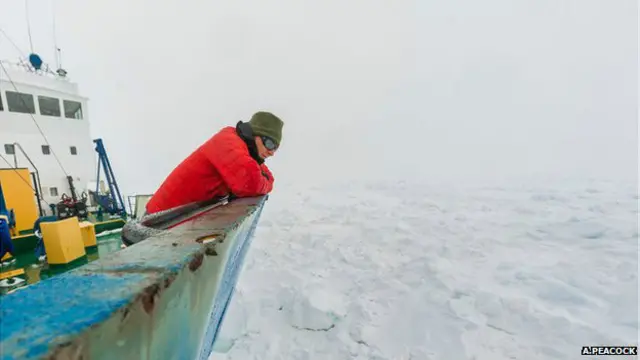 Эндрю Пикок