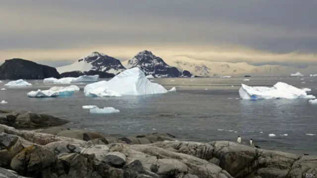 अंटार्कटिका