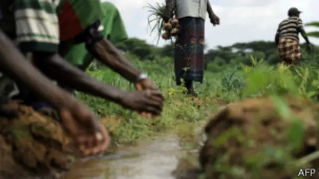 مساحات خضراء واسعة بالصومال