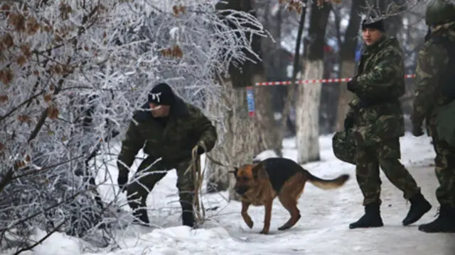 باشرت السلطات بالتحقيق