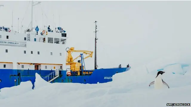 एमवी अकादेमिक शोकाल्स्की