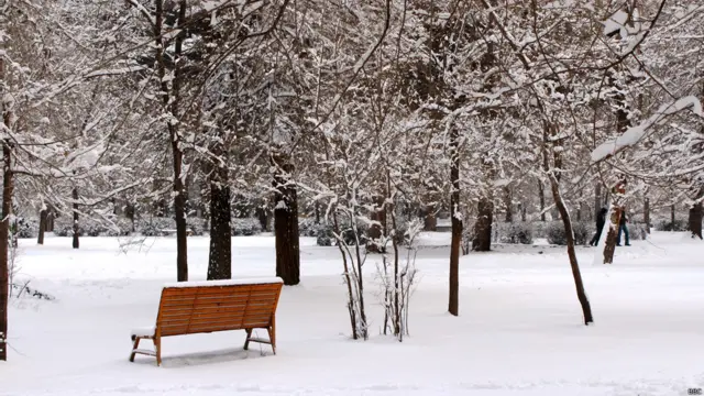 واورې سره د ښار څېره هم ښایستوکې شي.