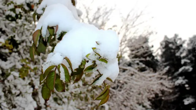 واورې اورښت نیمه شپه پیل شو او تر شنه ګهیځه یې دوام وکړ.