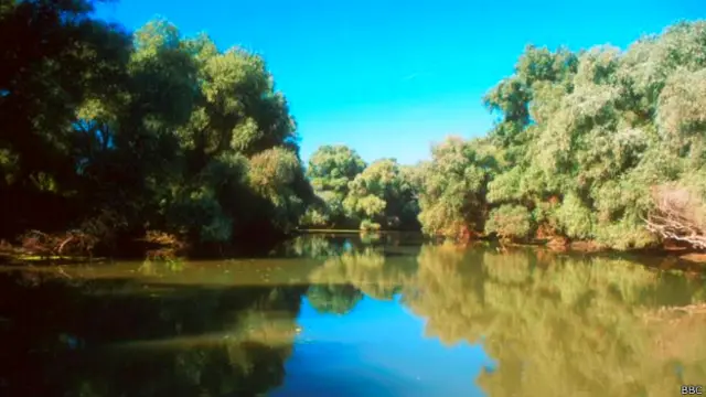 По дельте Дуная вас будут возить за очень скромные деньги целый день