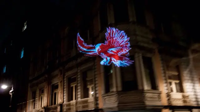 Festival Internacional de las Luces, Filux