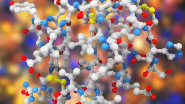 Molécula de la insulina