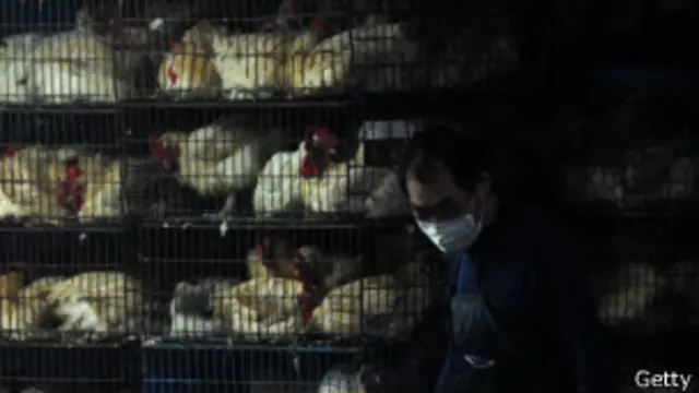 台灣一個活禽市場（26/04/2013）