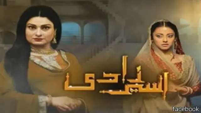 ٹیلی ویژن ڈرامے سے وابستہ اداکار ہدایت کاروں اور ڈرامہ نگاروں سب کا موقف ہے کہ پاکستان میں اداکاروں اور ڈرامہ نگاروں کی تربیت کے لیے مزید ادارے بنانے کی ضرورت ہے