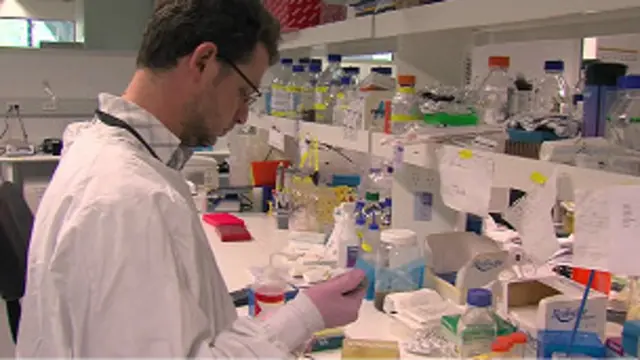 डॉक्टर कैंसर