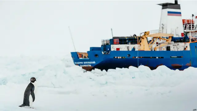 روسۍ بېړۍ له فرانسوي مرکز نه د ۱۰۰ ناټیکل میلو په واټن کنګل کې نښتې.