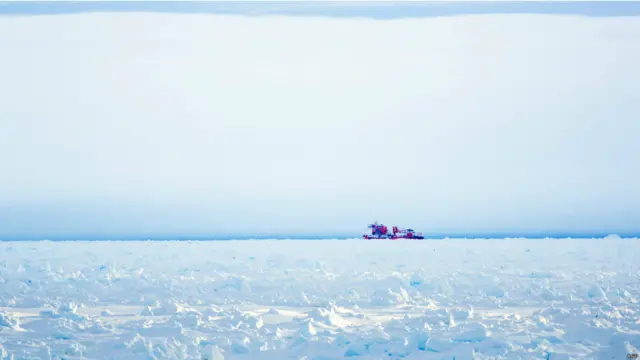 انتراکتیکا کې اکاډیمیشن شوکالسکې نومې روسي بېړۍ د کریسمیس له ورځې راهیسې کنګل کې نښتې ده.