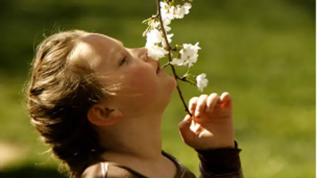 یہ تصور غلط قرار پایا ہے کہ انسانی ناک صرف دس ہزار بو میں امتیاز کر سکتی ہے