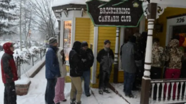 محل عرضه حشیش