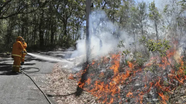 2013 میں آسٹریلیا کے جنگلوں میں لگنے والی آگ سے تقریباً آٹھ ارب ڈالر کا نقصان ہوا