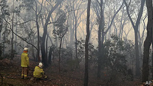 Bomberos en un incendio. Foto de archivo: octubre 2013