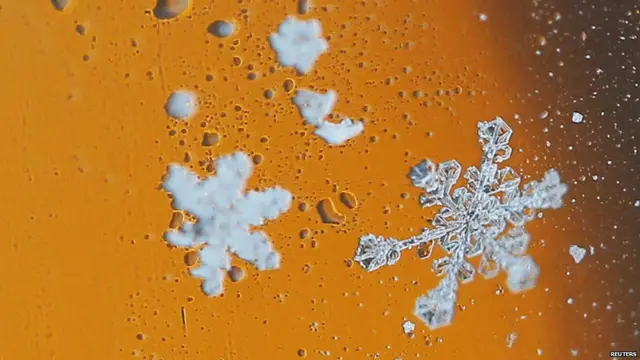 میساچوسٹس میں ایک قصبے میں 21 انچ برف باری ریکارڈ کی گئی۔