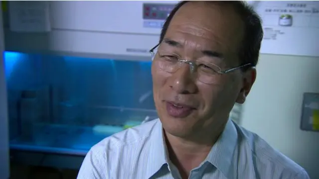 پروفیسر ناکوچی سفید چوہے میں بھورے چوہے کا پتّہ اگانے کا کامیاب تجربہ کر چکے ہیں