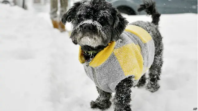 मौसम के जानकार कहते हैं कि उत्तरी अमरीका के इलाक़ों में तापमान अभी और गिर सकता है