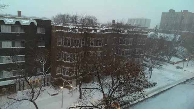 عکس: هادی از شیکاگو