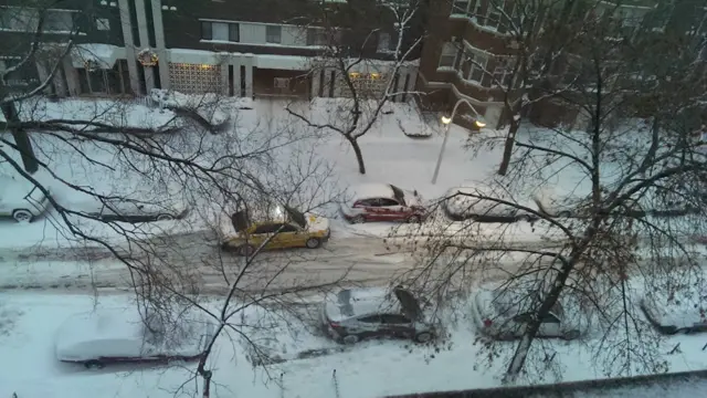 عکس: هادی از شیکاگو