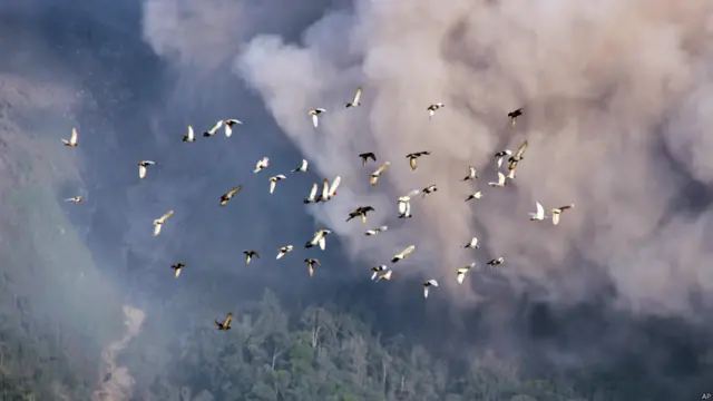 इंडोनेशिया का माउंट सिनाबंग ज्वालामुखी