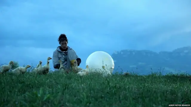 Фотография "Лунной гусиной моделирующей системы: установки по лунной миграции птиц" Агнес Майер-Брандис