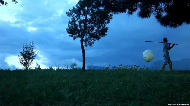 Фотография "Лунной гусиной моделирующей системы: установки по лунной миграции птиц" Агнес Майер-Брандис