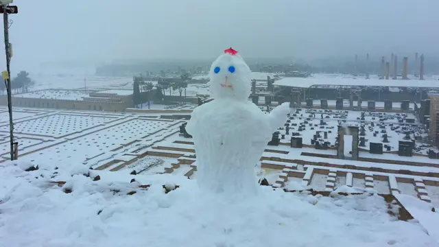 سعید: شیراز 