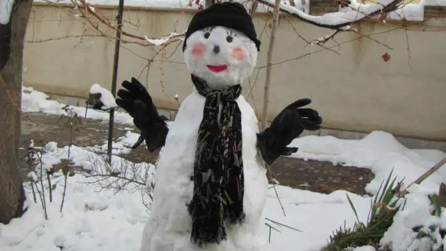 نازنین: کرمان 