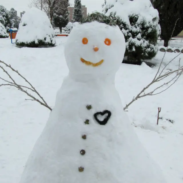 نازنین: کرمان 