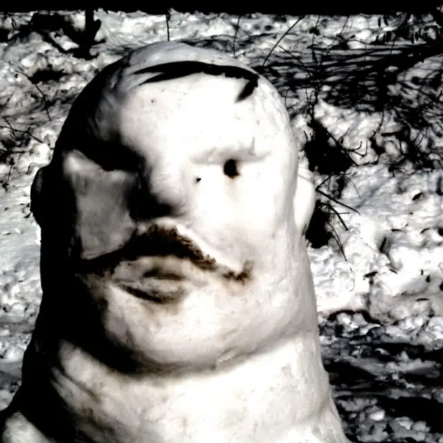 سعید: شیراز