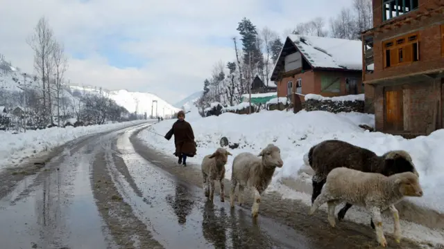 भारत प्रशासित कश्मीर में बर्फबारी