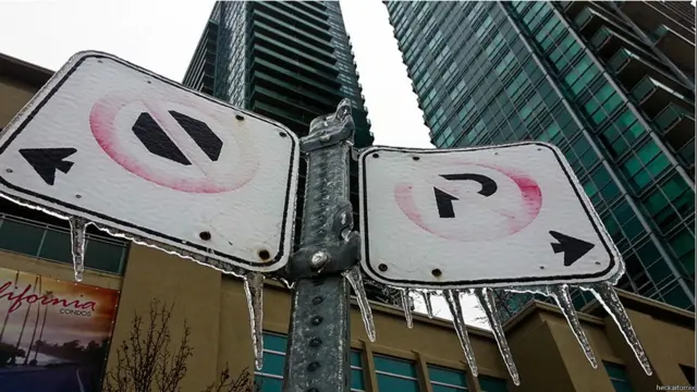 "У нас тут приключился конец света. Локальный. Торонто и немалую часть южного Онтарио накрыл ледяной шторм, замерзающий на лету дождь. Это привело к охрусталиванию всего вокруг", - написал heck-aitomix. 