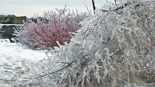 Фото: heck_aitomix