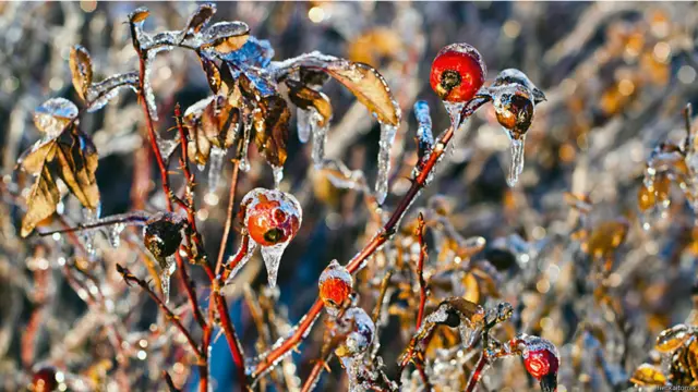 Фото: heck_aitomix