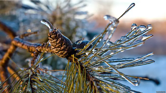 Фото: heck_aitomix