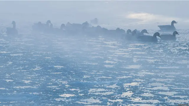 Фото: heck_aitomix